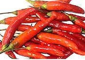 Jati Jolokia - C.annuum