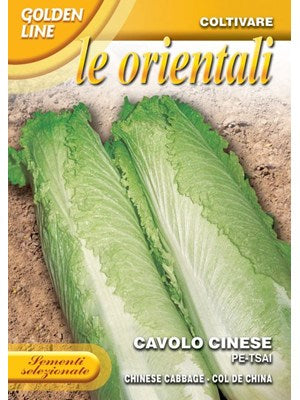 Kinakål - cavolo cinese PE TSAI