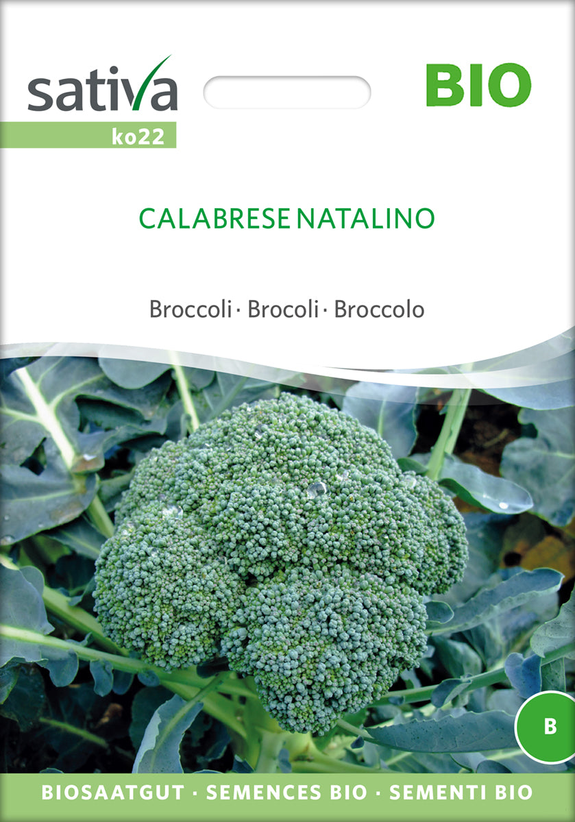 Broccoli - Calabrese Natalino - ØKO