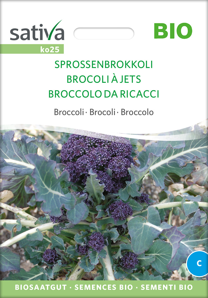 Broccoli - Sprouting - ØKO