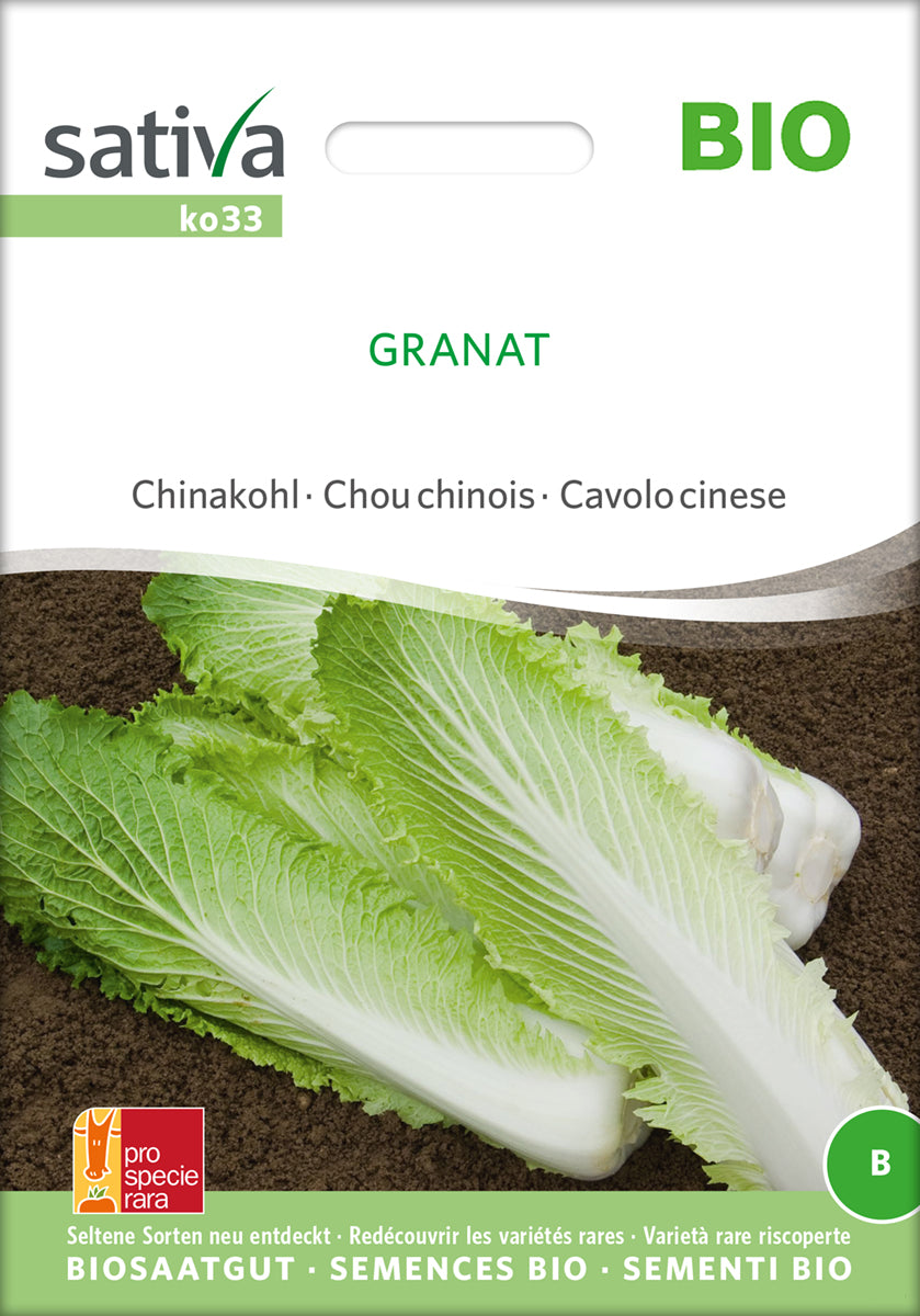 Kinakål - Granat - ØKO