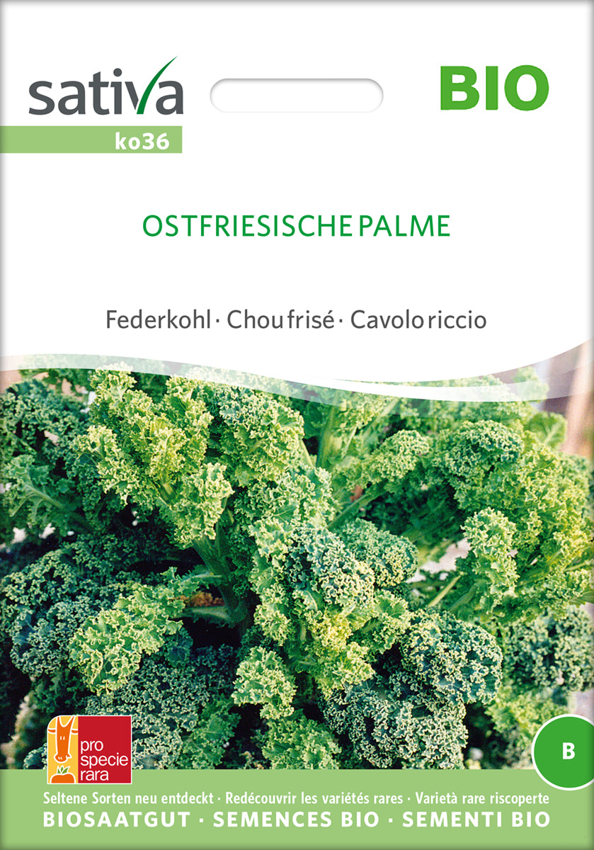 Grønkål - Ostfriesische Palme - ØKO