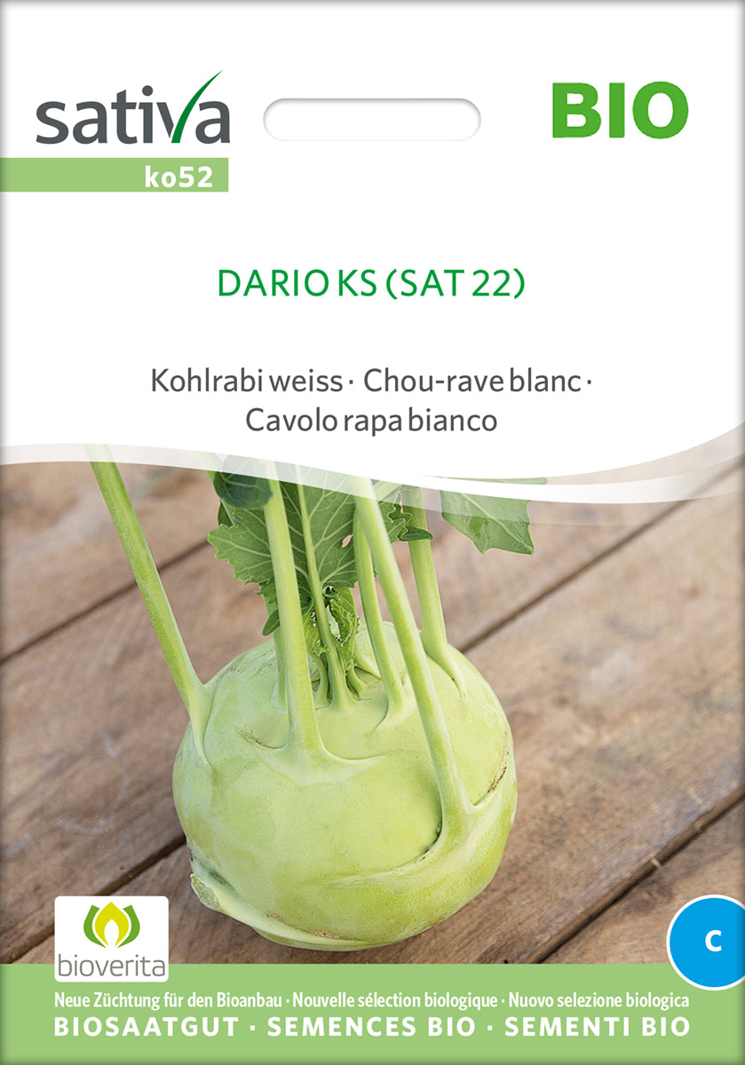 Kålrabi - Dario ks- ØKO
