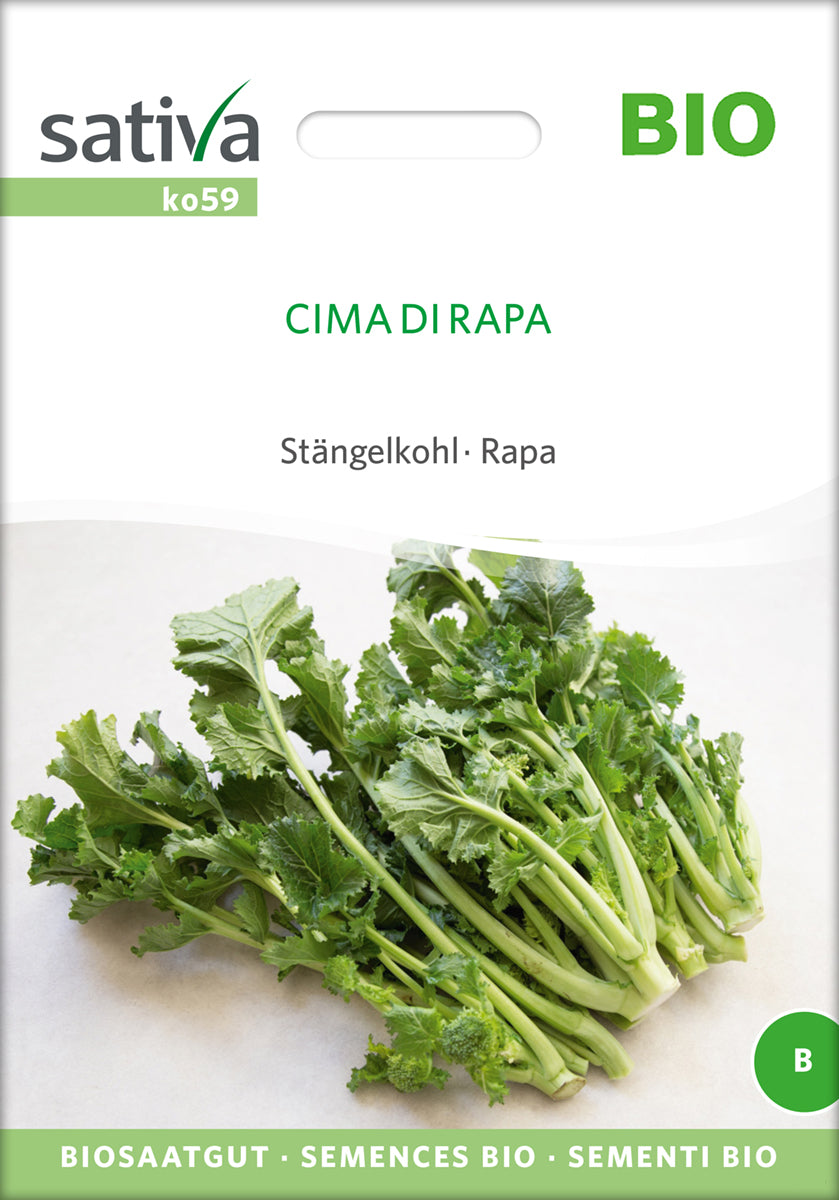 Kål - CIMA DI RAPA - ØKO