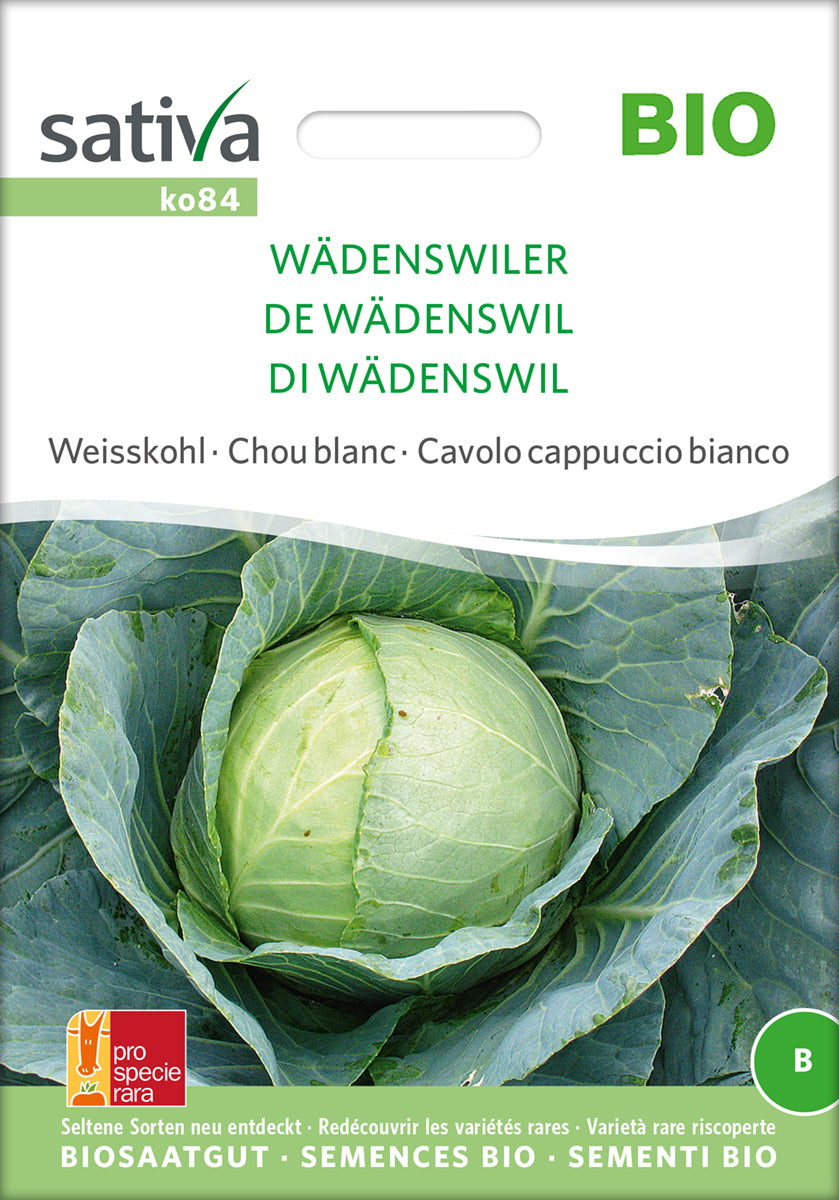 Hvidkål - Wädenswiler - ØKO
