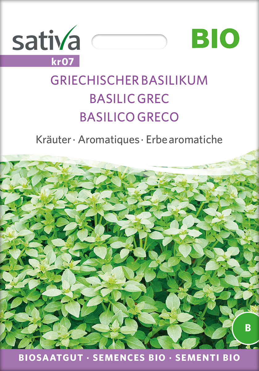 Basilikum - GREEK BASIL - ØKO