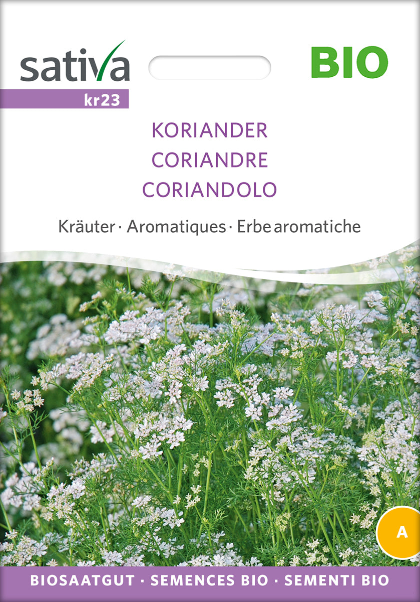 Koriander - ØKO