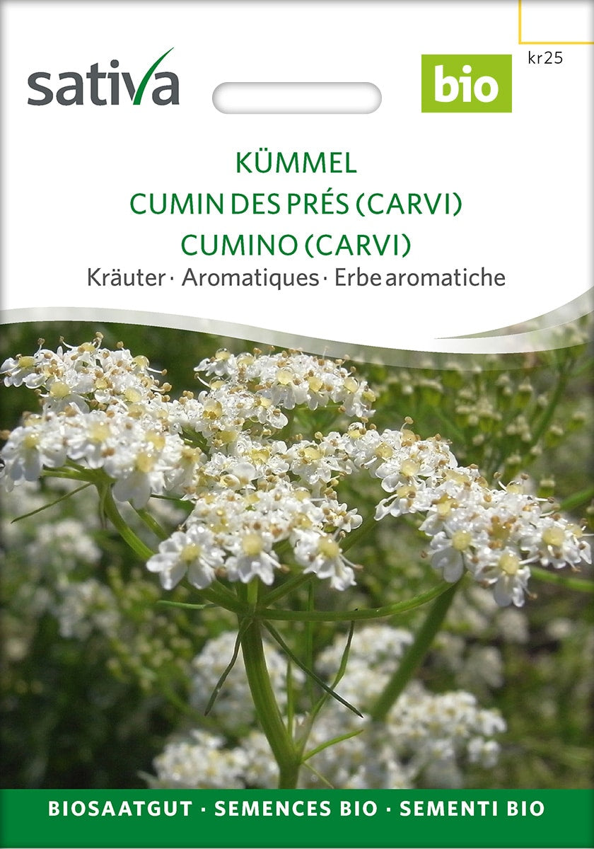 Kommen - Caraway - ØKO