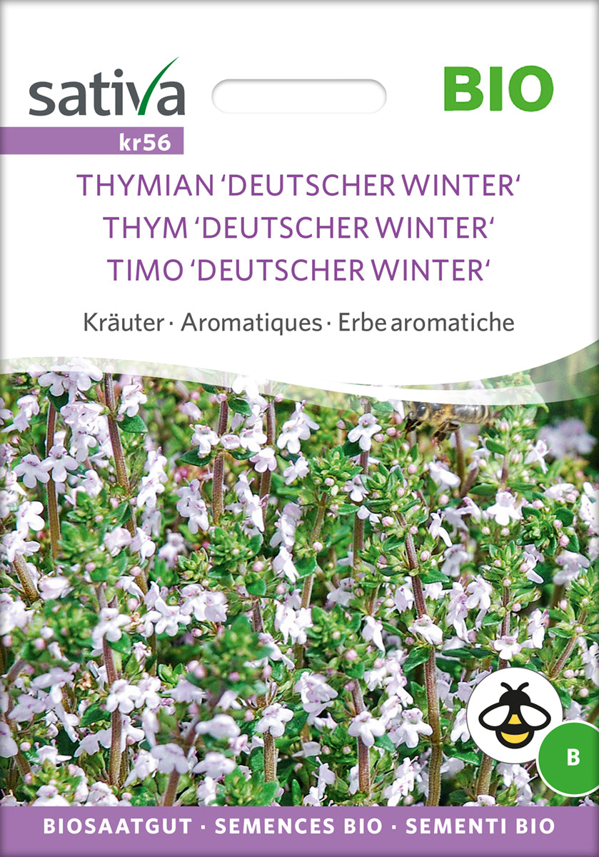 Timian - THYME DEUTSCHER WINTER - ØKO