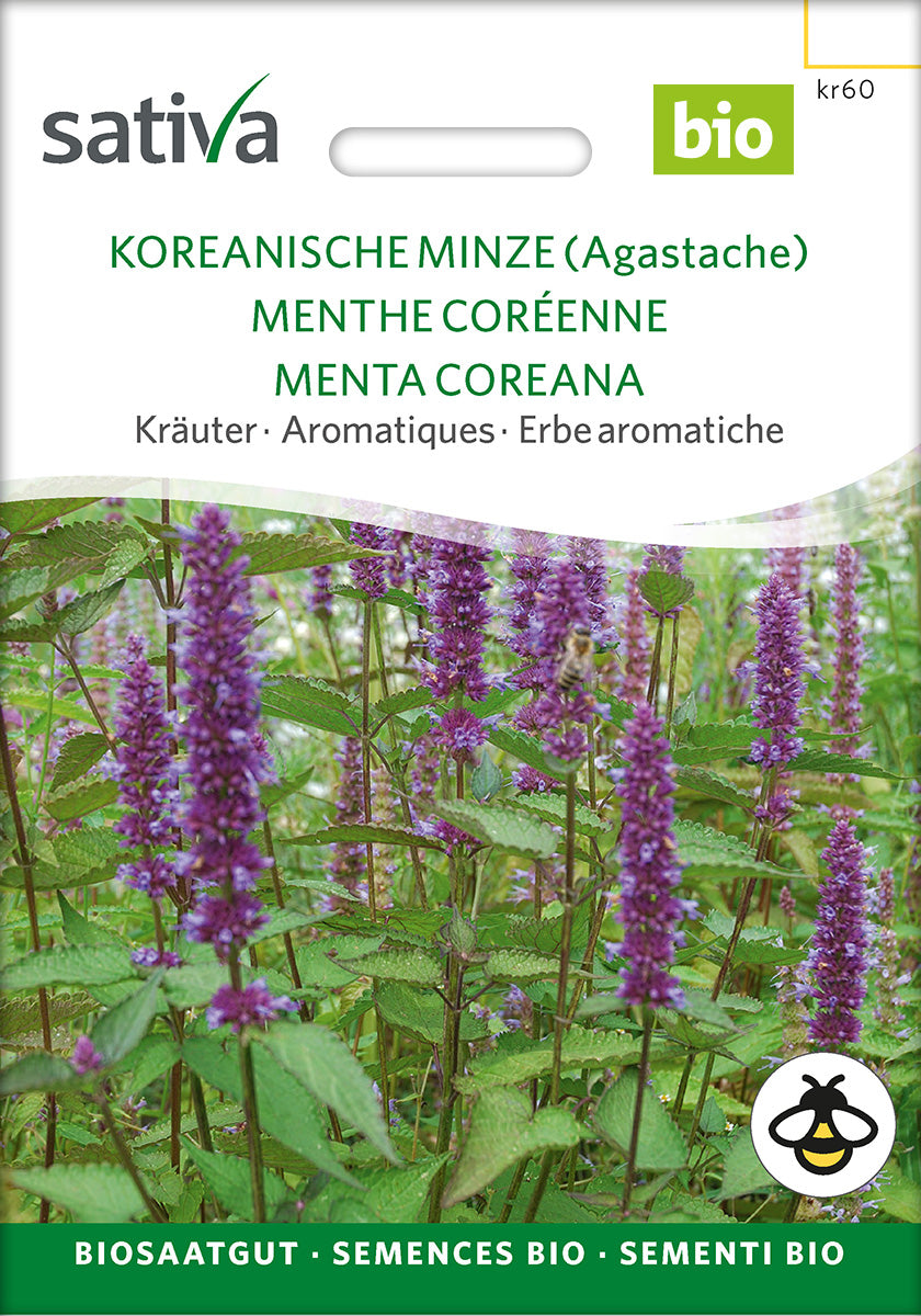 Koreansk Mynte - ØKO
