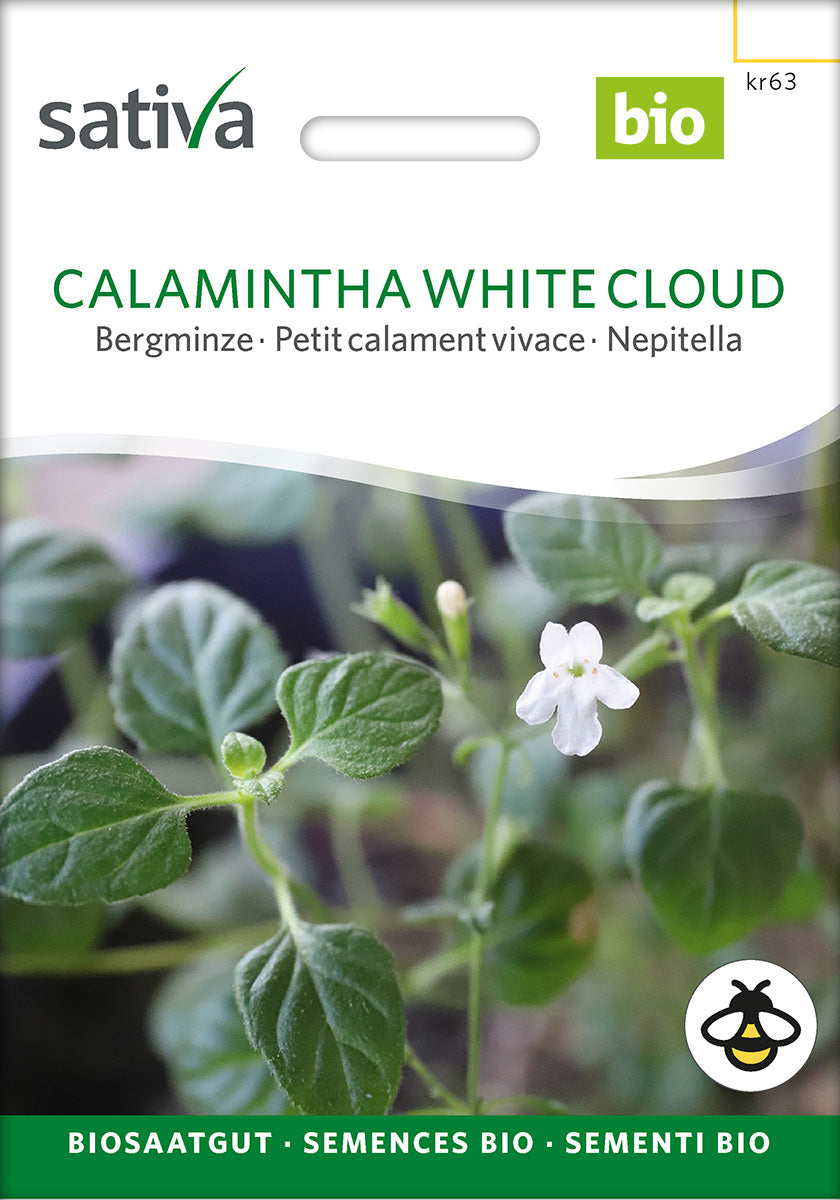 Bjergmynte - Calamintha white cloud - ØKO