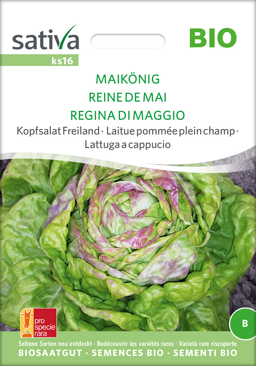 Salat - Regina Di Maggio - ØKO