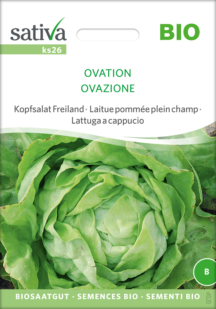 Salat - Ovation - ØKO