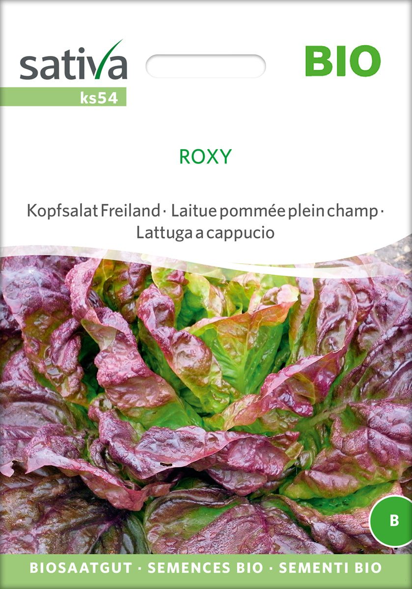 Salat - Hoved - Roxy - ØKO