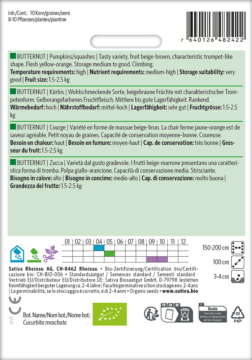 Græskar - Butternut - ØKO