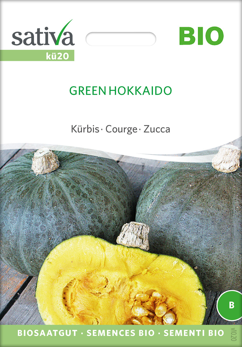 Græskar/Squash - Green Hokkaido- ØKO