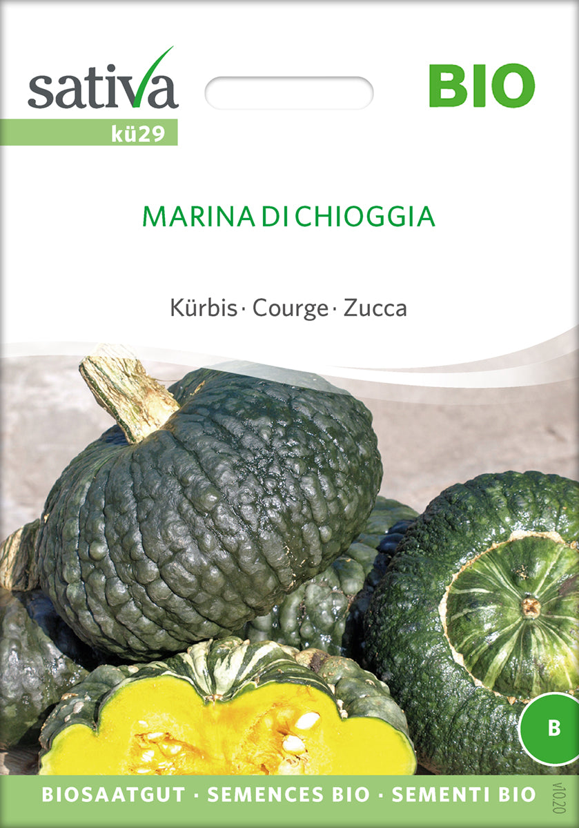 Græskar/Squash - Marina Di Chioggia- ØKO