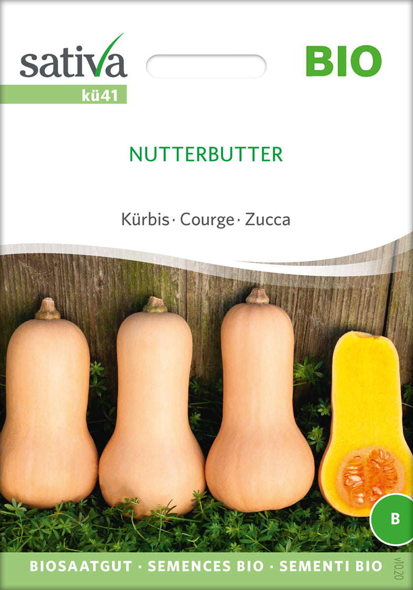 Græskar/Squash - Nutterbutter- ØKO