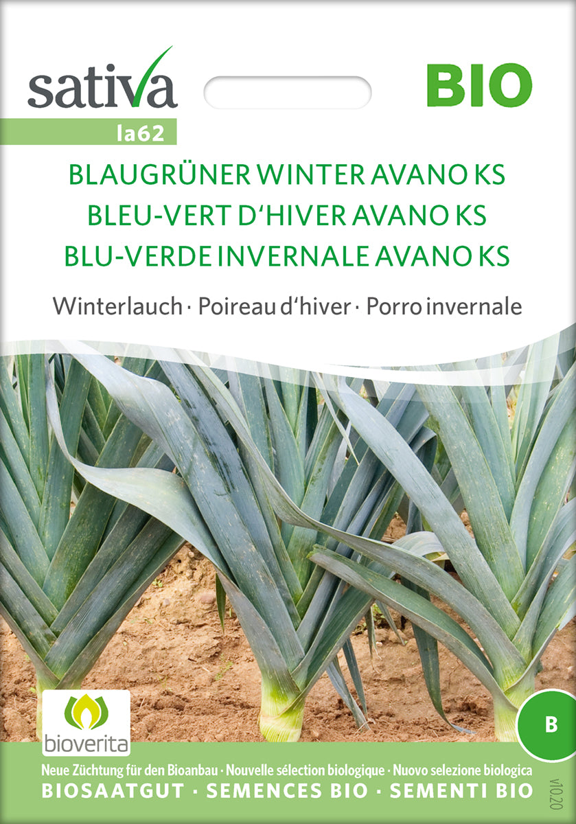 Porre - Blaugrüner Winter Avano Ks- ØKO