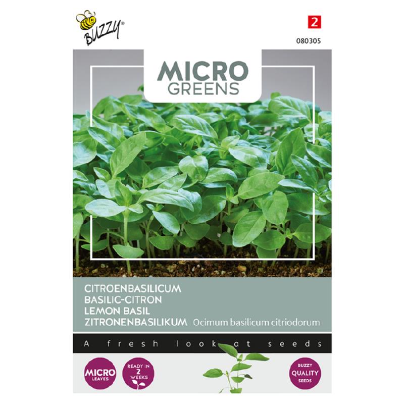 Micro Greens - Basilikum Lemon