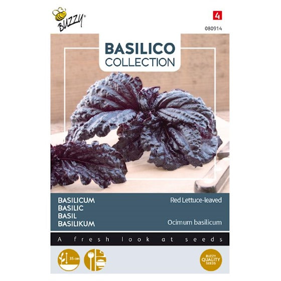 Basilikum - 'Lettuce Leaf Red'