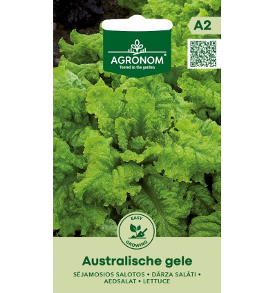 Salat - Australische gele