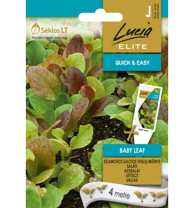 Salat - Baby leaf