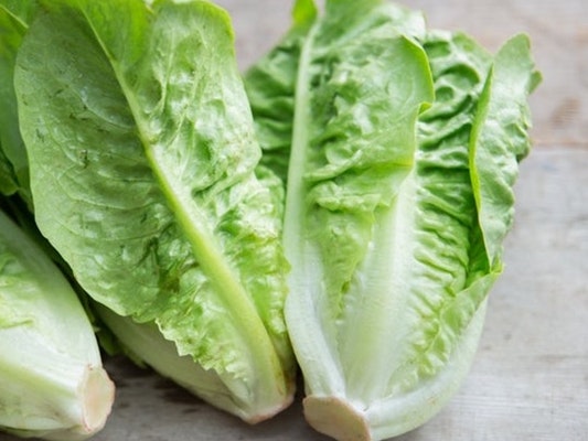 Salat, Romaine - Little Gem