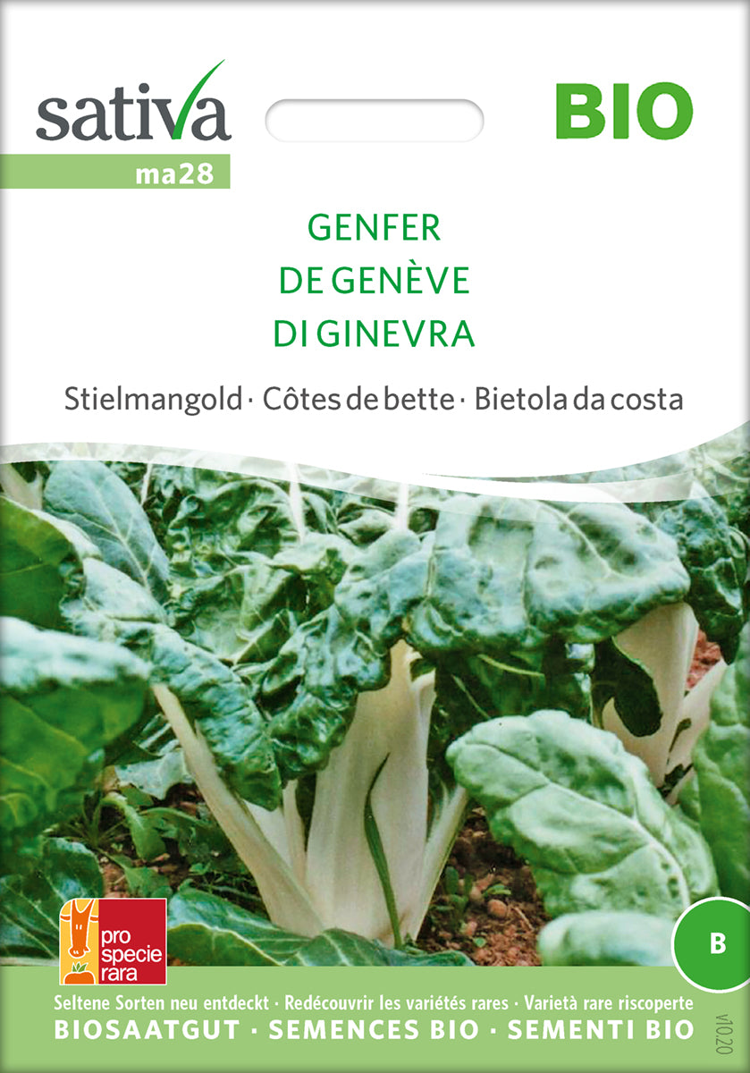 Bladbede - From Geneva - ØKO