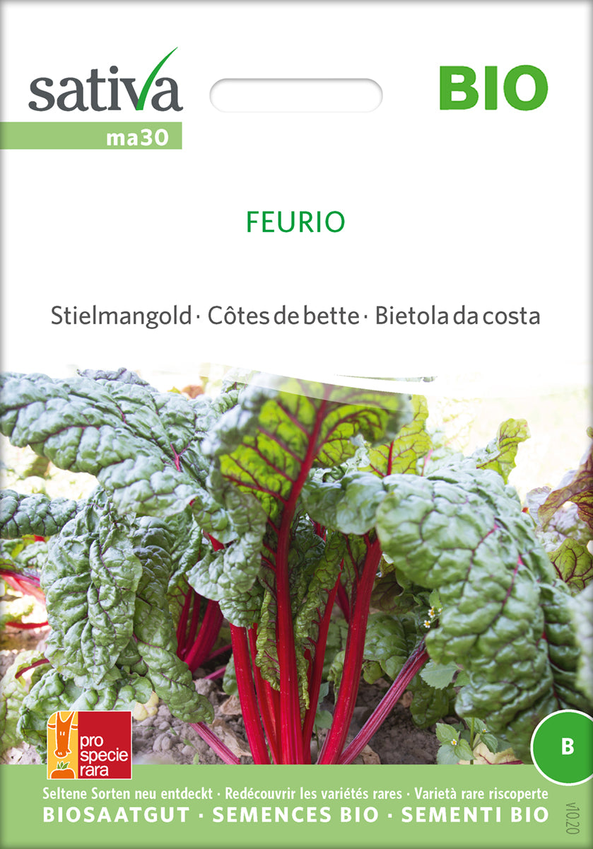 Bladbede - Feurio - ØKO