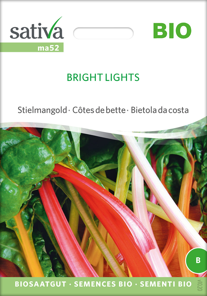 Bladbede - Bright Lights - ØKO
