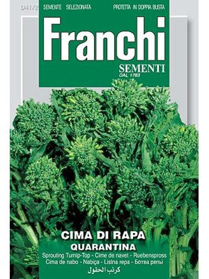 Turnip top - Cima di Rapa quarantina