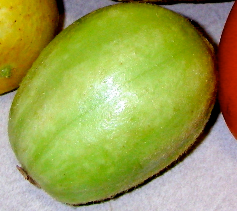 Mandurian Round - Agurk