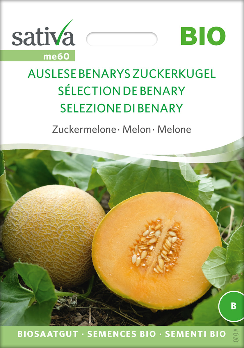 Melon - Selection Of Benary - ØKO