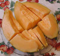Persisk melon