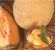 Iroquois Melon
