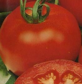 Meraviglia del mercato - Tomat