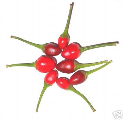 Mexican Chiltepin