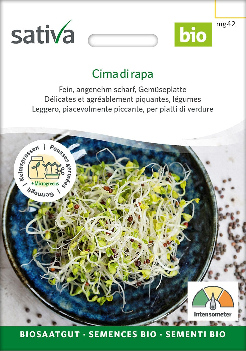 Øko / Biodynamiske broccolini spire frø til mikro grønt