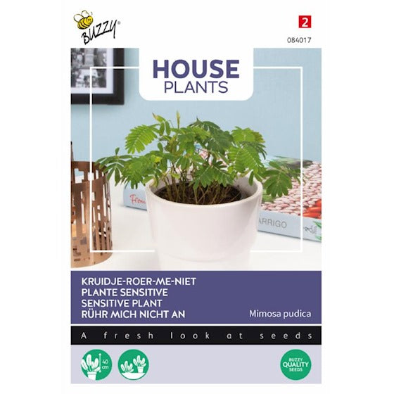 Ægte Mimose - Mimosa Pudica