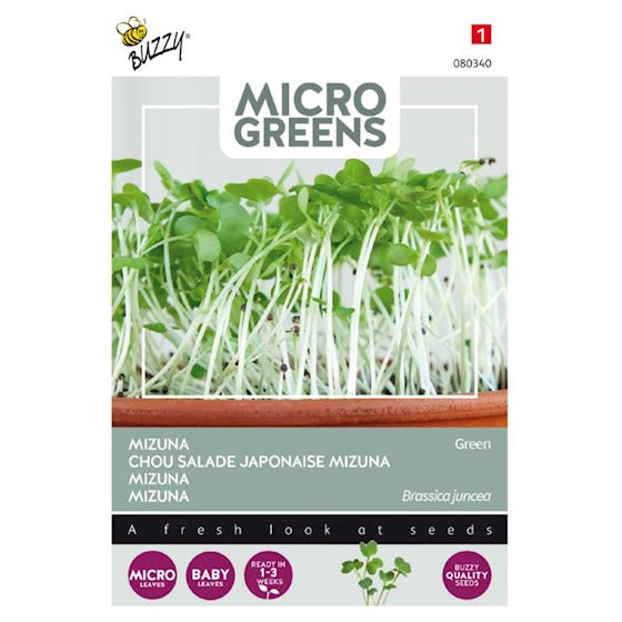 Micro Greens - Mizuna Green