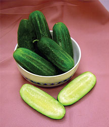 National Pickling - Sylte- og salat agurk