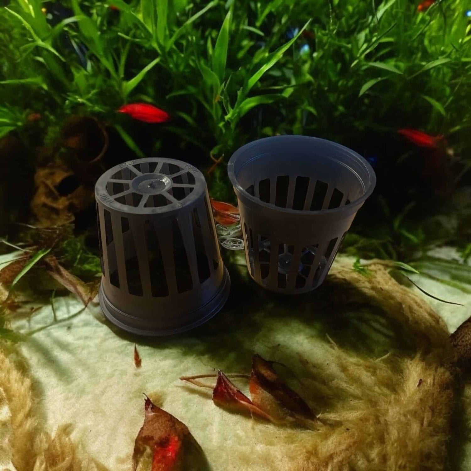 25 netpotter 5cm