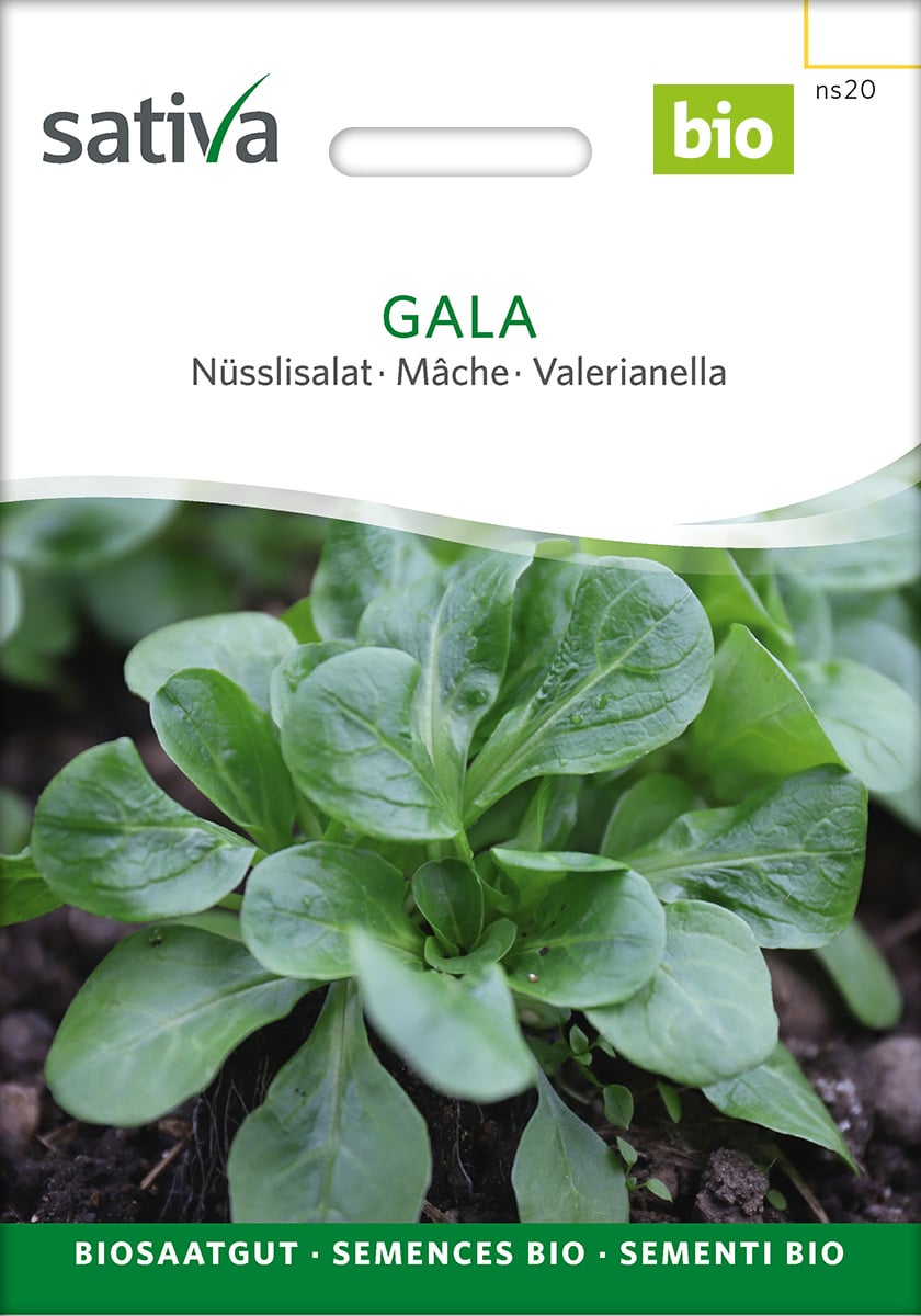 Feldsalat - Gala - ØKO