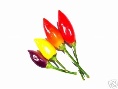 Numex Twilight - Capsicum Annuum