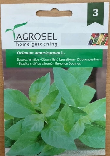 Basilikum - Lemon - Ocimum americanum l.