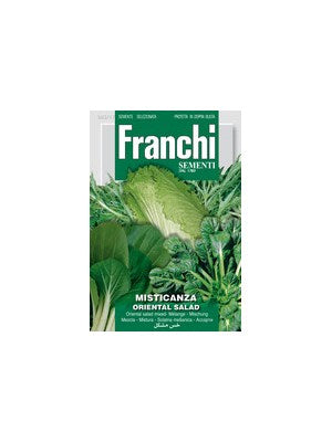 Orientalsk salat mix - Misticanza