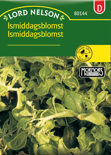 Ismiddagsblomst