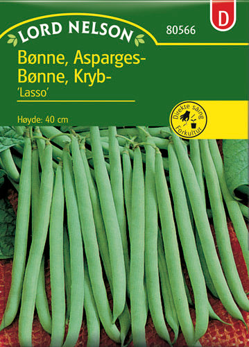 Bønne, Kryb-, Lasso