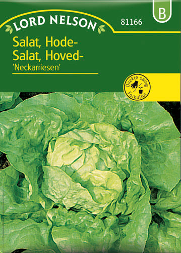 Salat, Hoved-, Neckarreuzen